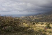 Sakturia Kreta, Baugrundstück in der Nähe von Sakaturia Südküste 9800 m² mit unverbaubarem Meerblick Grundstück kaufen